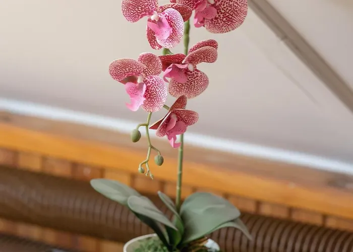 The Historic Kazimierz District - With Parking By Renters شقة